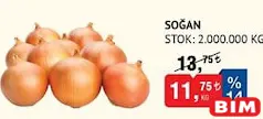 SOĞAN KG fiyat ve kampanya bilgisi